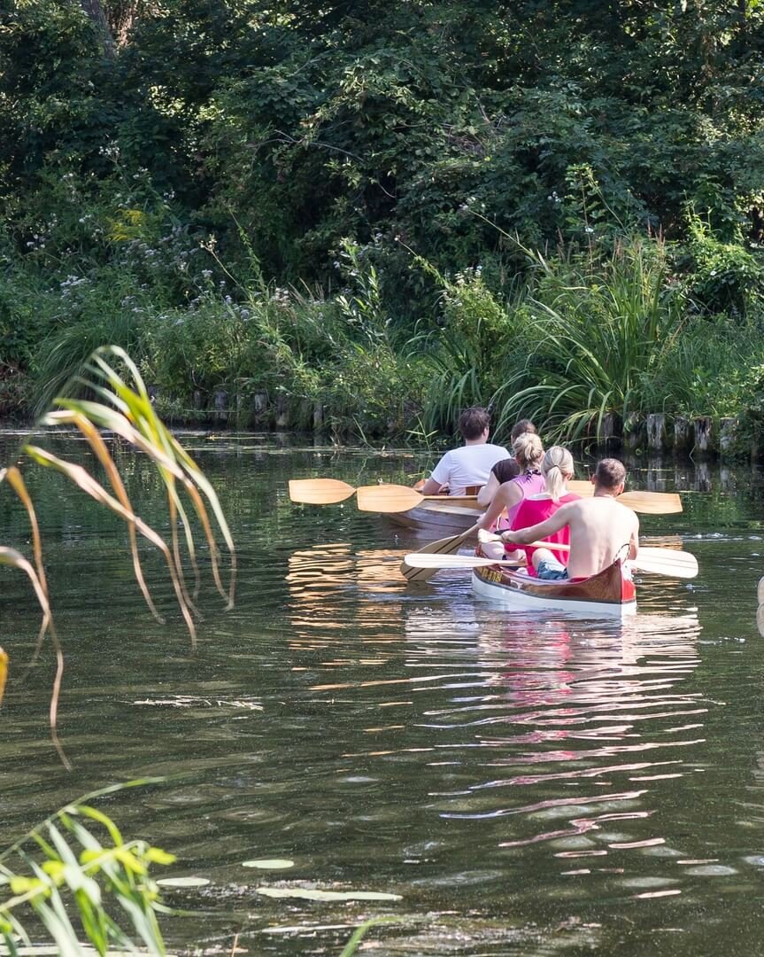 Paddeln auf dem Rhin bei Fehrbellin